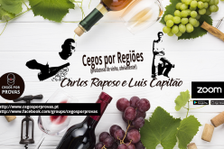 Cegos por Regiões (produtoras de vinho, obviamente!)  com Carlos Raposo e Luis Capitão.