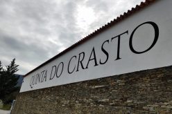 Visita à Quinta do Crasto